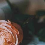 Garth Erickson - @ericksongarth60 - Instagram