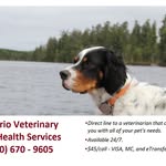 Garth Graham - @telehealth4pets - Instagram