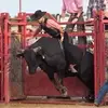 garthgriffith371 - @garthgriffith371 - TikTok