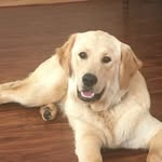 Garth Hoffman - @garthhoff100 - Instagram