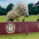 Garth Hunt - @garthhuntponyclub - Instagram