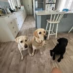 Garth King - Facebook