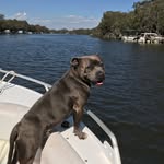 Garth King - @garthking80 - Instagram