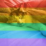 Garth Nelson - @garthnelson2009 - Instagram