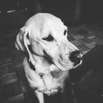 Garth Nelson - @sininen_blue - Instagram