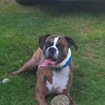 Garth Olsen - @olsengarth - Instagram