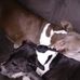 Garth Olson - Facebook