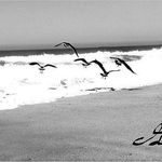 Garth Olson - @g_art_photos - Instagram