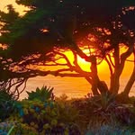 Garth Perry - @gperry1964 - Instagram