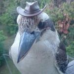 Garth Phillips - @the_mind_of_the_hat - Instagram
