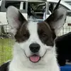 lauragarcia31472 - @garthriver1989 - TikTok