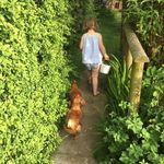@life.at.rose.garth - Instagram