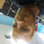 Garth Ryan - @garthr - Instagram