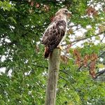 Garth Scott - @garth.scott.167 - Instagram