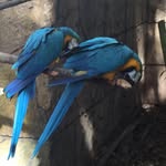 Garth Smith - @bikeprince23 - Instagram