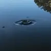 garth.smitman - @garth.s - TikTok