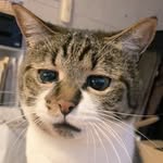 @snow_ball_garth - Instagram