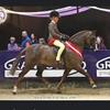 warleigh_and_garthstone_stud - @warleigh_stud - TikTok