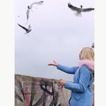 Garth Tyson - @garthtyson9 - Instagram