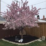 Garth - @garth.walker.533 - Instagram