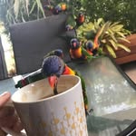Garth Walsh - @garth.walsh.50 - Instagram