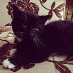 Garth Walsh - @garthwalsh9 - Instagram