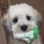 Garth Watson - @garth.watson.5 - Instagram