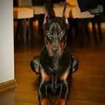 Garvin Brown - @garvin.brown - Instagram