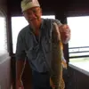 garyabrahamson718 - @garyabrahamson718 - TikTok
