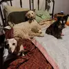 Gary Acker469 - @garyacker469 - TikTok