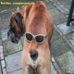 Gary Aeschliman - Facebook