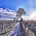 Gary Agnew - @photophactory1470 - Instagram