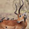 Gary Albertson - @gary.albertson - TikTok