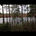 @garyalbritton1 - Instagram