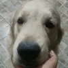 Gary Aliaga - @gary.aliaga - TikTok