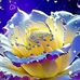 Gory Ali - Facebook