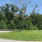 Gary Allman - @allmangary - Instagram
