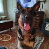 Gary Hallman - @gary.hallman - TikTok