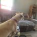 Gary Almquist - Facebook