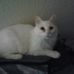 Gary Almquist - Facebook