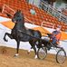 Gary Altizer Stables, LLC - Facebook