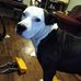 Amaya Gary - Facebook