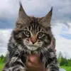 mick - @gary.mick - TikTok