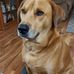 Gary Amundson - Facebook