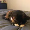 andrusmatthewgary - @andrusmatthewgary - TikTok