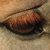 Photographic Views by Gary Andrus - Facebook