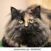 Gary Angeles - Facebook