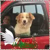 Gary Angelly887 - @garyangelly887 - TikTok