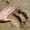 garydaleanglejr - @gary.dale.angle.j - TikTok