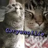 Gary🤙🏻 and Oliver🦶🏻 - @garyanollie - TikTok